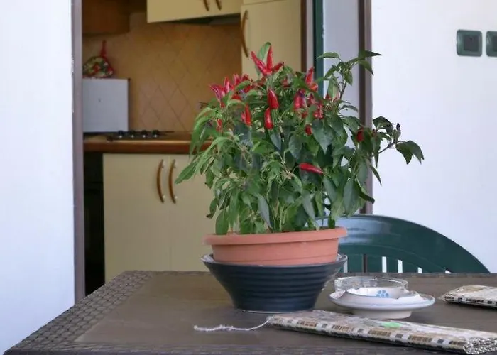 Apartamento Manitta *